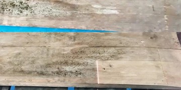 Лазерное удаление плесени